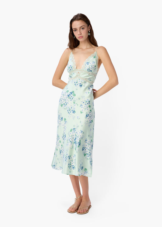 Bibiana Dress
